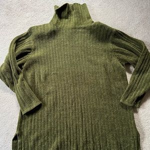 Express Soft Knit Turtleneck Sweater